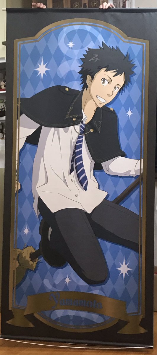 届いた箱も大きいなとは思ってたけどタペストリーが想像の10倍大きくてびっくりした
(持っているのは手を伸ばした状態の身長160cmの母)
もはやコラボカフェで飾ってあるサイズだけどどこに飾ろう🤔
これで一回715円だし選べるし当たれば最高じゃないか？