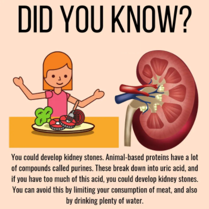 FolksHealthy's tweet photo. health and fitness tips, like &amp; share post, more health plan link in Bio @FolksHealthy #healthytips #fitnesstips #healthylife #healthyandHappy #KidneyDisease https://t.co/z2OGloKhSZ