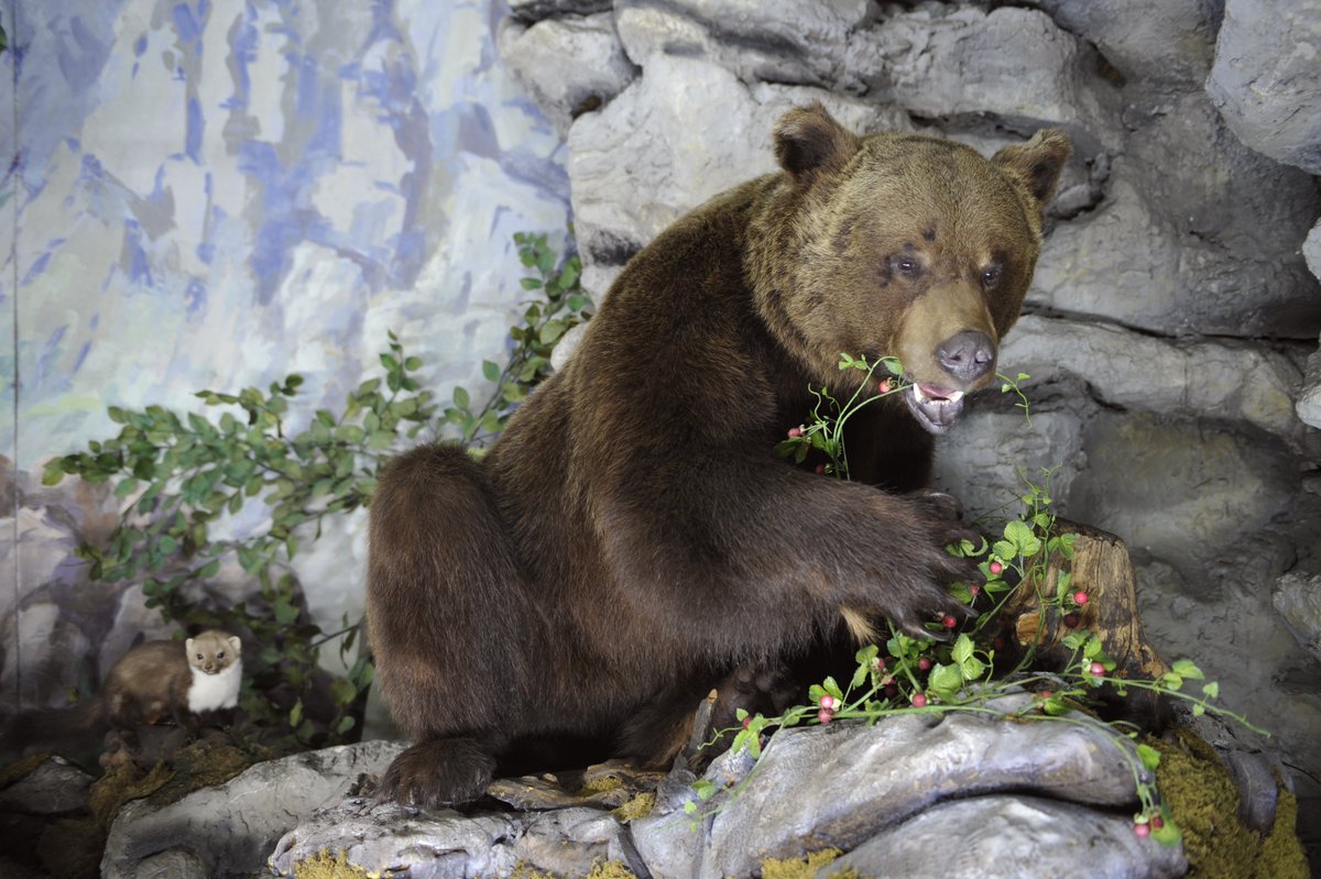 Nedelja, 6. marec 2022, PROST VSTOP od 10. do 18. ure