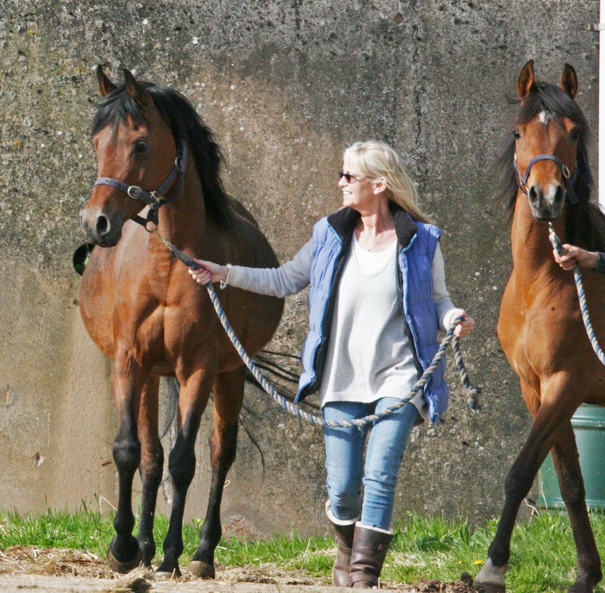 TheSusanGeorge's tweet photo. Out with hammer and nails fixing #postandrail fencing this Saturday morning. And this will resonate with any one who knows, lives with and loves #horses chewing fences a favourite #pastime #wood delicious! https://t.co/NnNjNqd5En