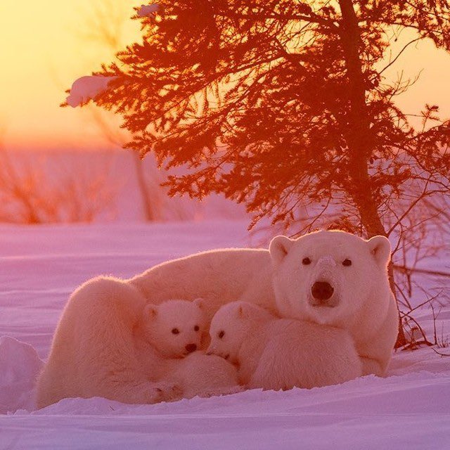 Discover Earth tweet media