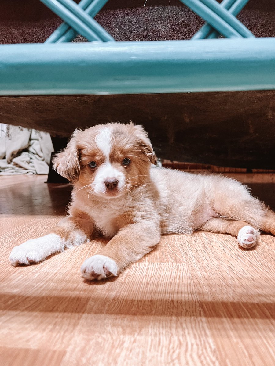 plutotoyaussie's tweet photo. welp…this aged well 💅🏼🥰✨ https://t.co/ffz7ENvgJI