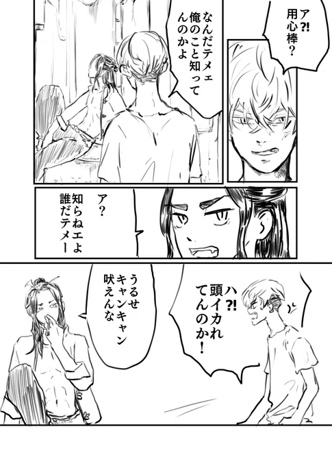 チャイニーズマフィア創作ばじふゆばじ

※気まぐれに続けてみました 