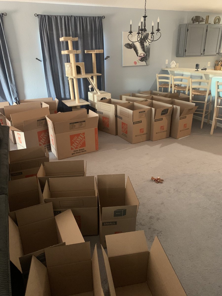 itsmetp's tweet image. So it begins…..