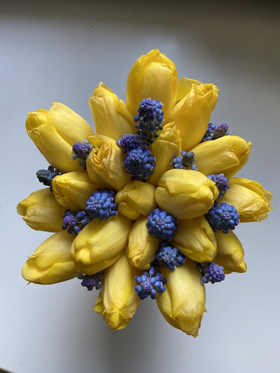 Elina Flemming (@flemmingelina) on Twitter photo 