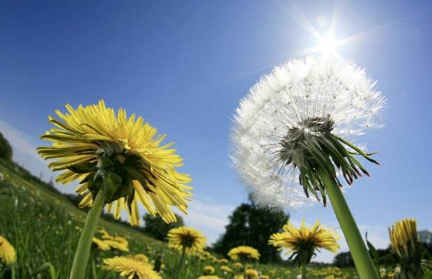 pregled's tweet image. Vremenska prognoza pregled.com.hr/2022/03/05/vre…