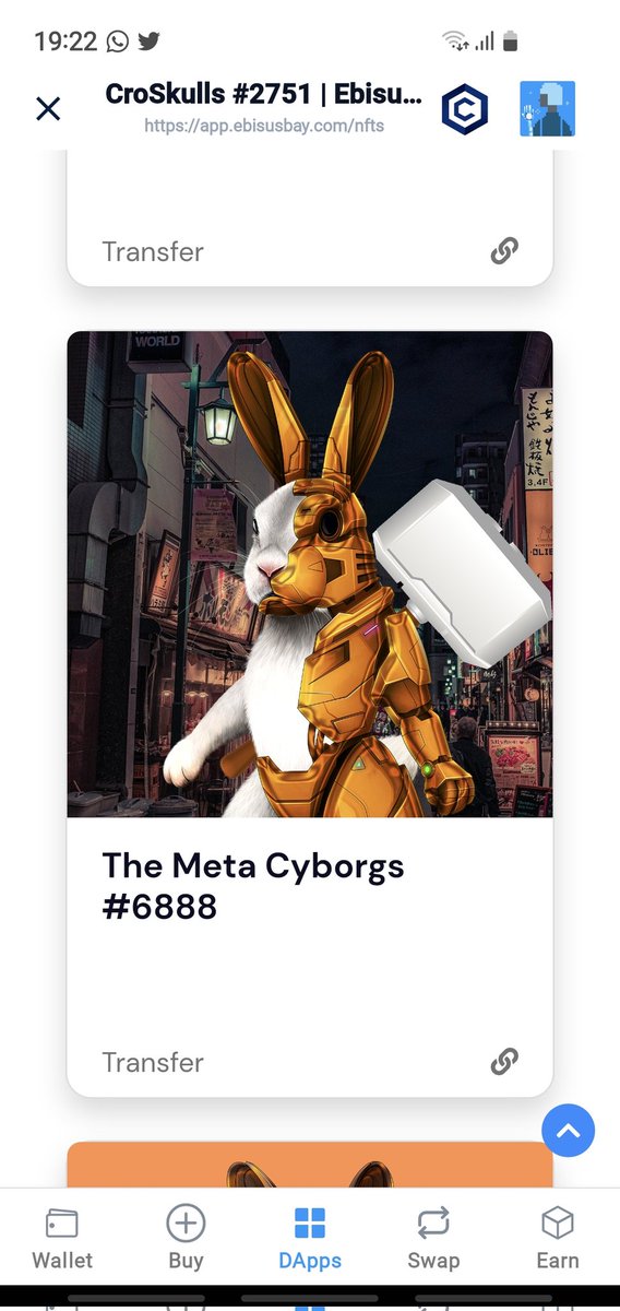 Pit_019's tweet photo. @CyborgSwapDEX Some of my awesome bunnies #NFTs #MetaCyborgs #NFTCommumity https://t.co/1MsgpbwUGS