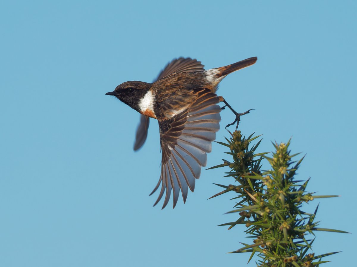 Paul Roberts tweet media