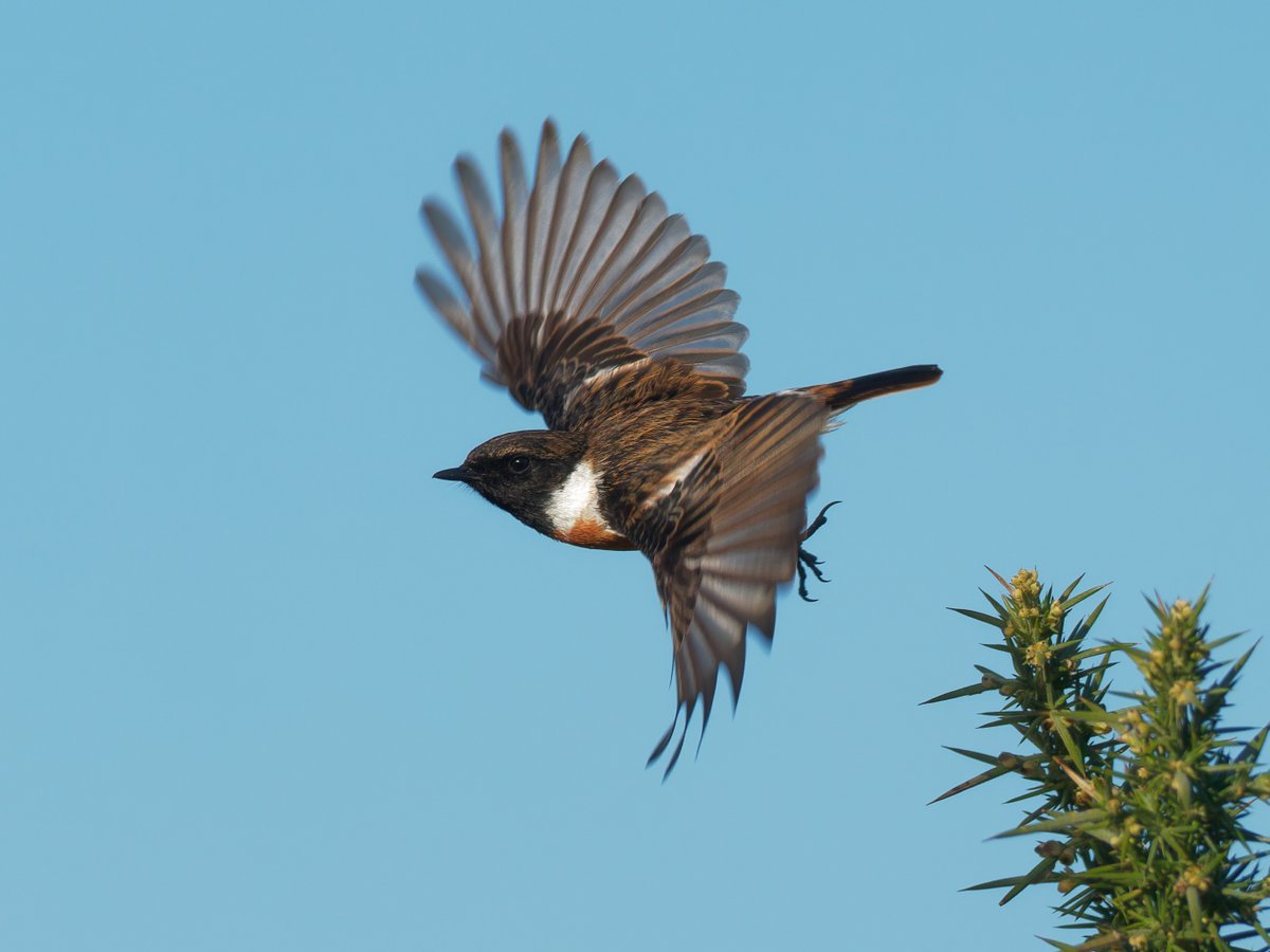 Paul Roberts tweet media