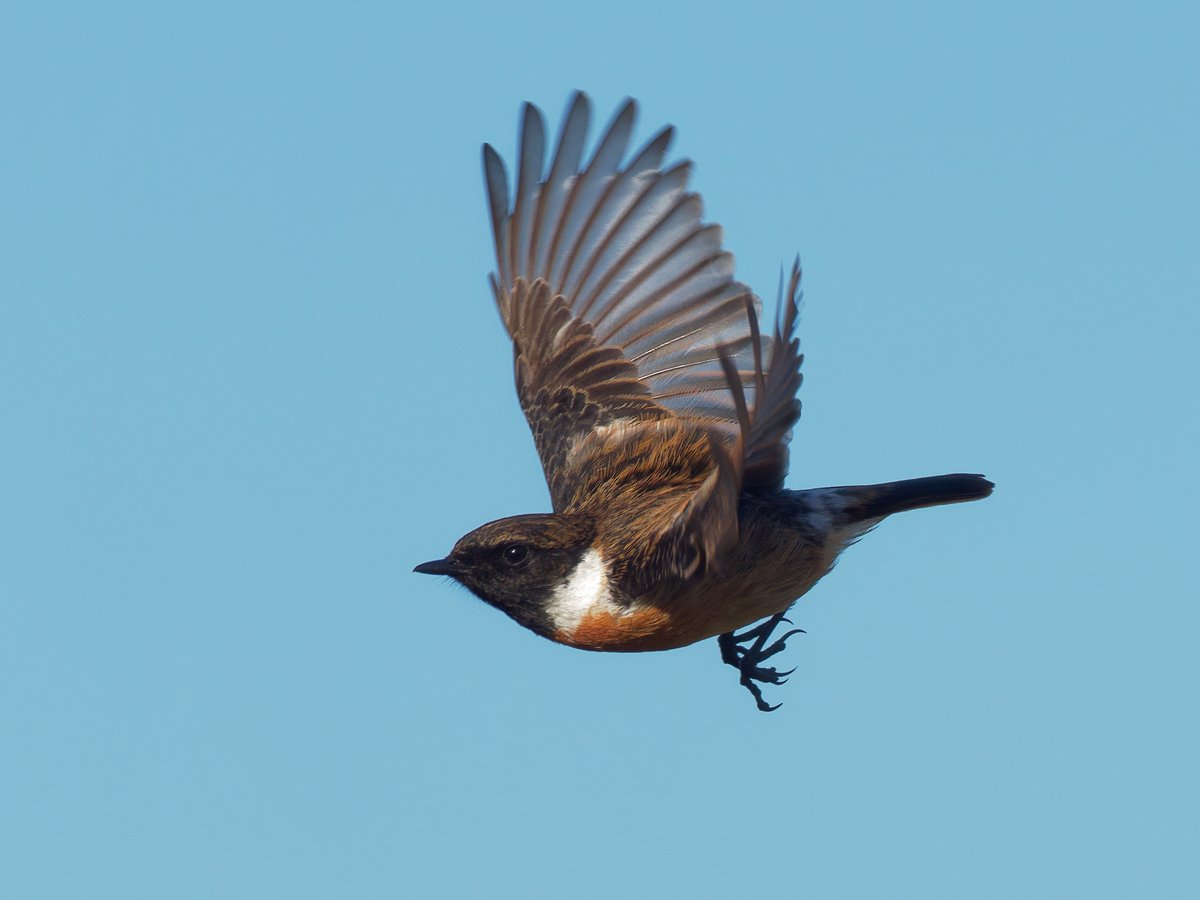 Paul Roberts tweet media