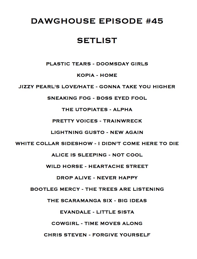THE DAWGHOUSE today 8pm German time + 8pm Detroit time + 8pm Pacific time!  All new, great and amazing free range rock and roll vibe.