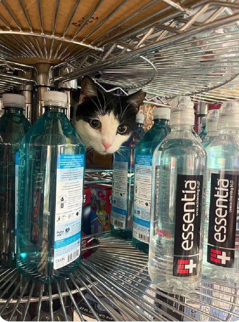 HillaryMike9's tweet image. 