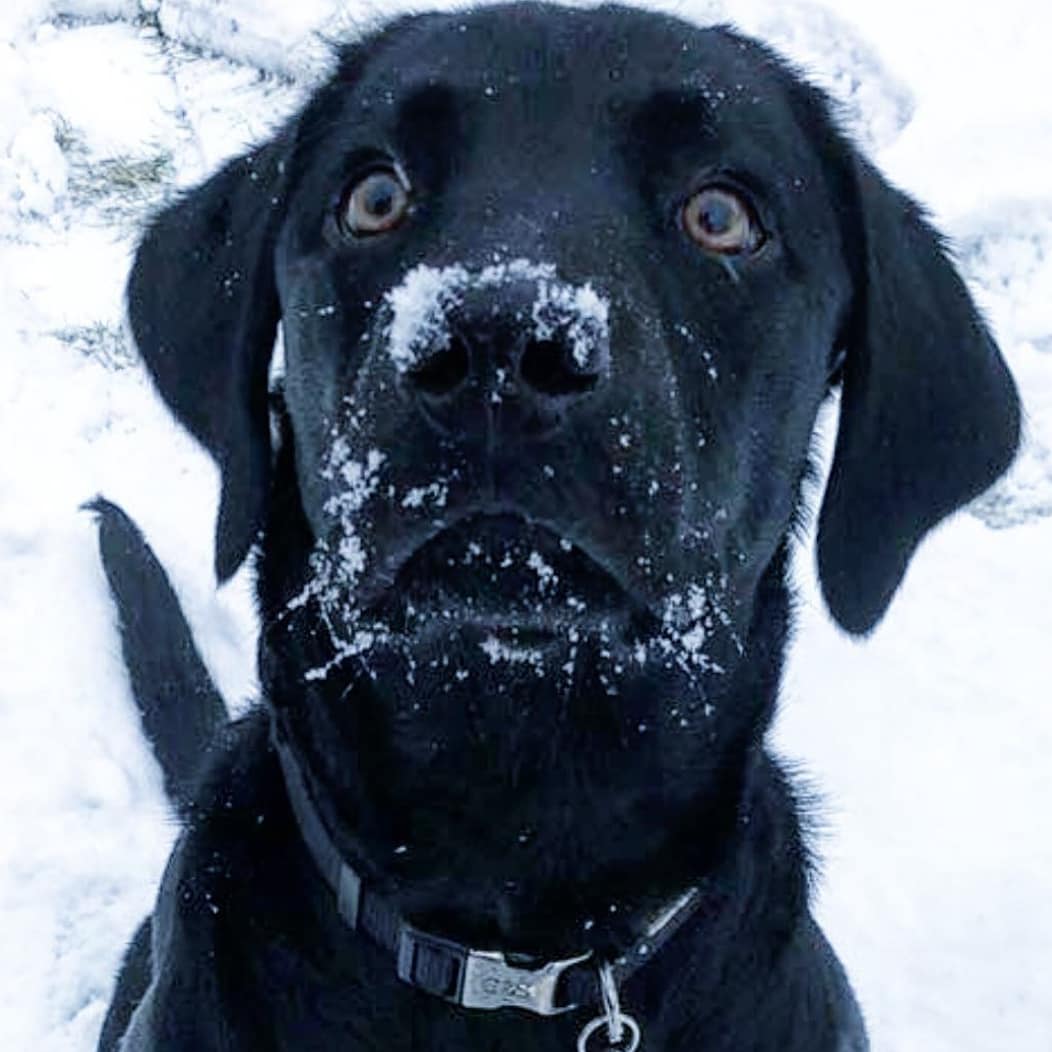 HillaryMike9's tweet image. 