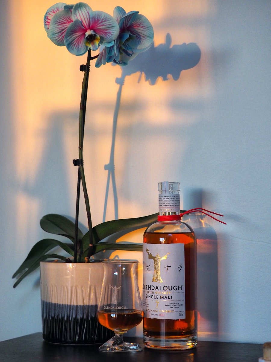 Bill Linnane tweet media