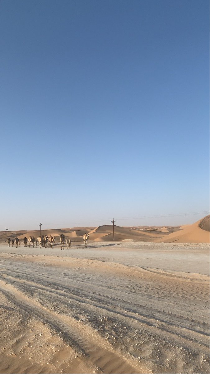 AbbyCouper's tweet photo. Nothing will ever compare to camping  in the desert under the Milky Way, and waking up to camels trotting past your tent ✨🇦🇪🐪
#alquaa #desertcamping #milkyway https://t.co/lve9iUJRcS