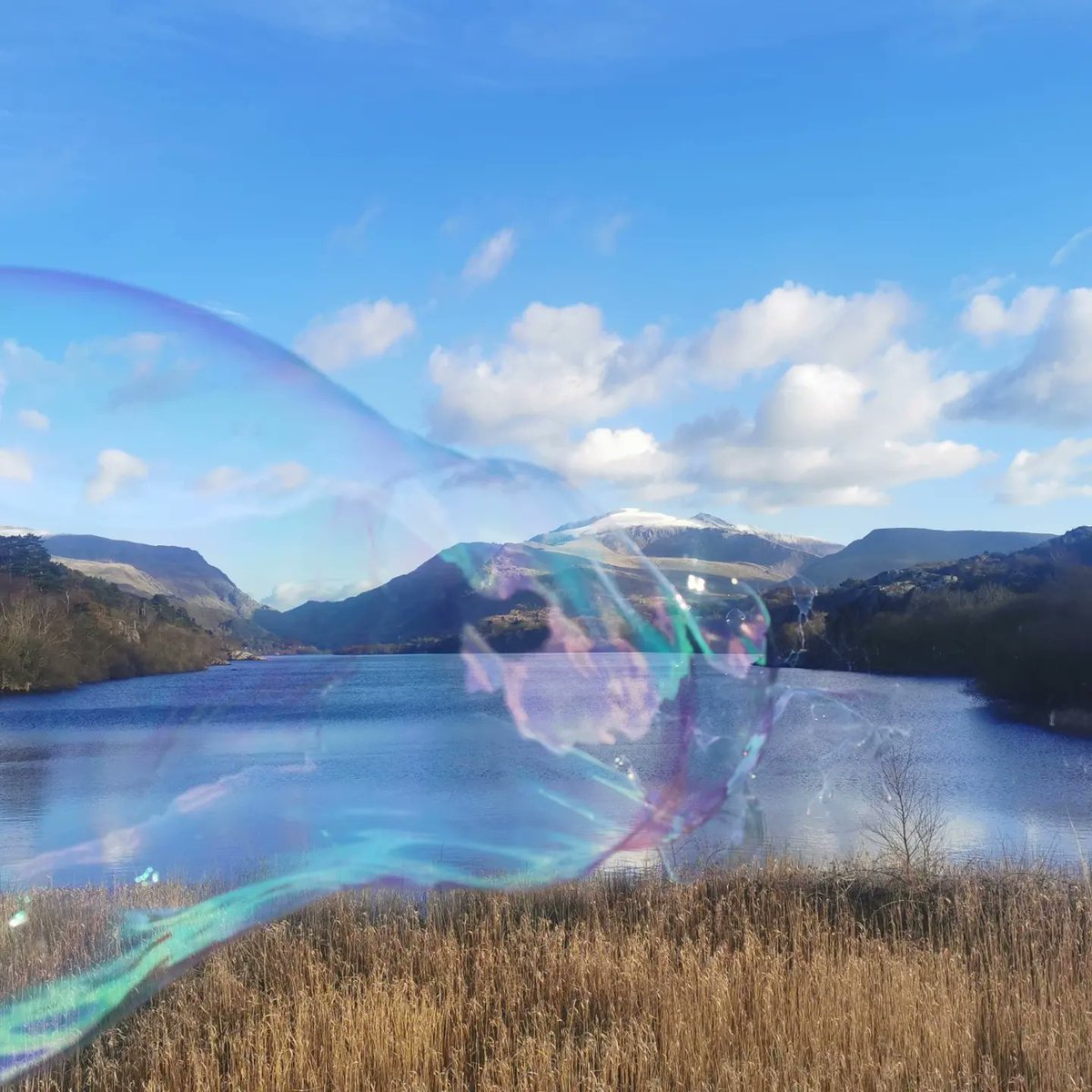 DrZigs's tweet photo. Bubbling an incredibly beautiful North Wales

#BubblesNotBombs #StandWithUkraine️ https://t.co/HyBHkpsScv