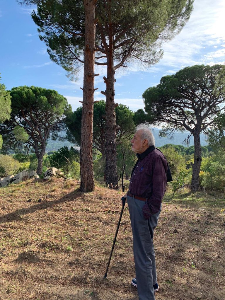 Tabiatla edebsizce ve şuursuzca mücadeleye girerseniz cevabını alırsınız. Dağı delerek elde edilecek gelir bir gün bitecek ama ağaçlar sonsuza dek kalacak.
