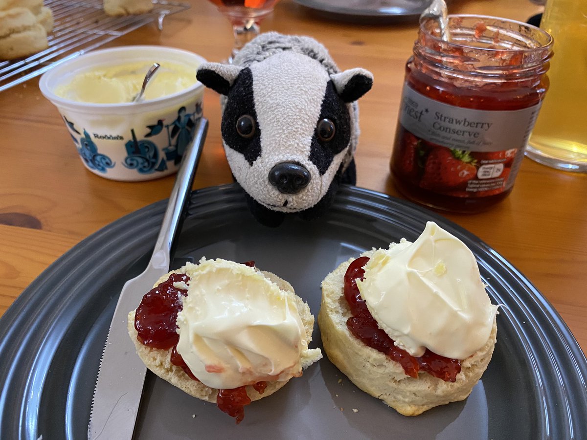 Miss Heligan Badger tweet media