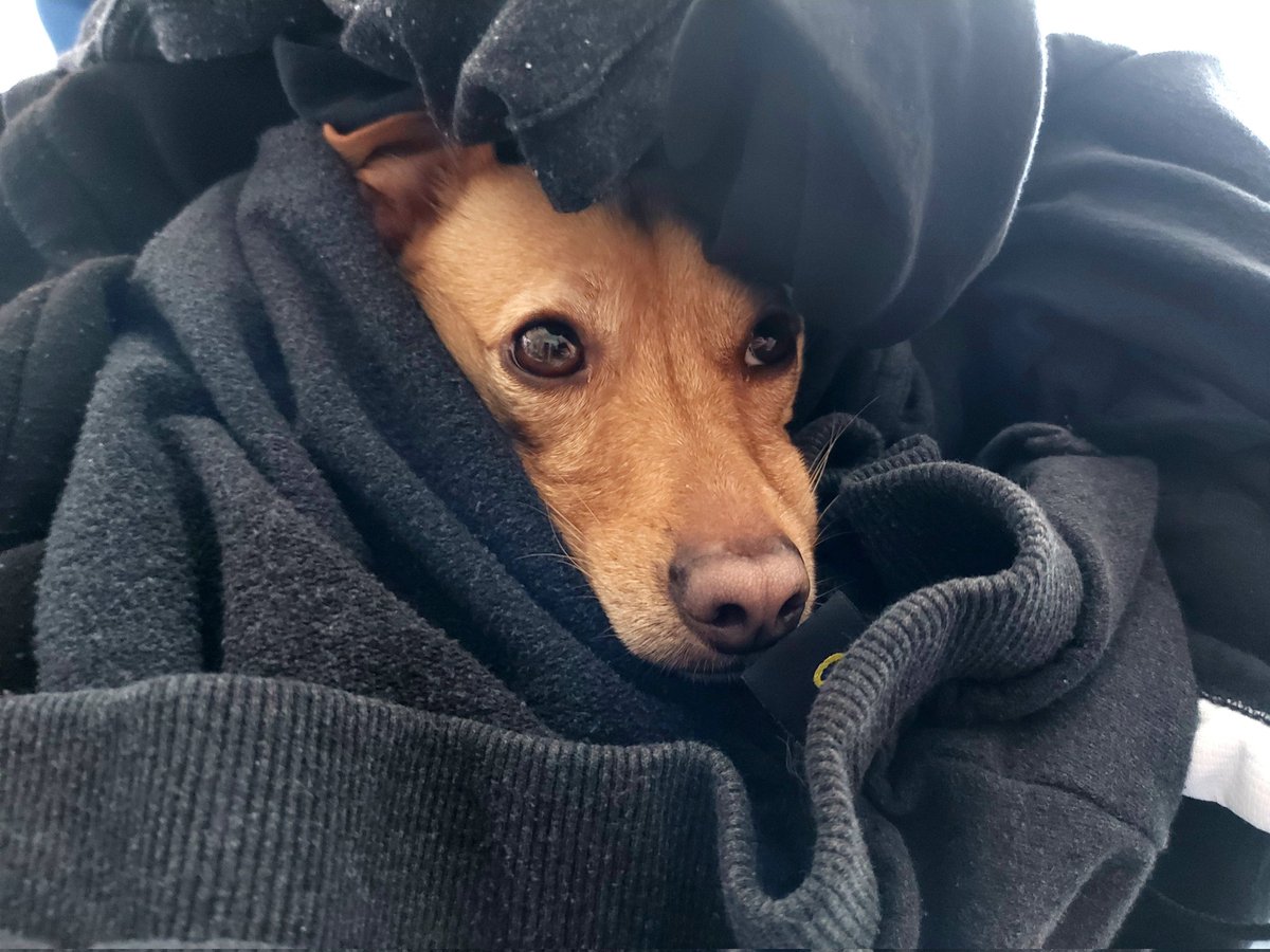 NickBMorris's tweet photo. #warmlaundry https://t.co/Et79ZO9Uds
