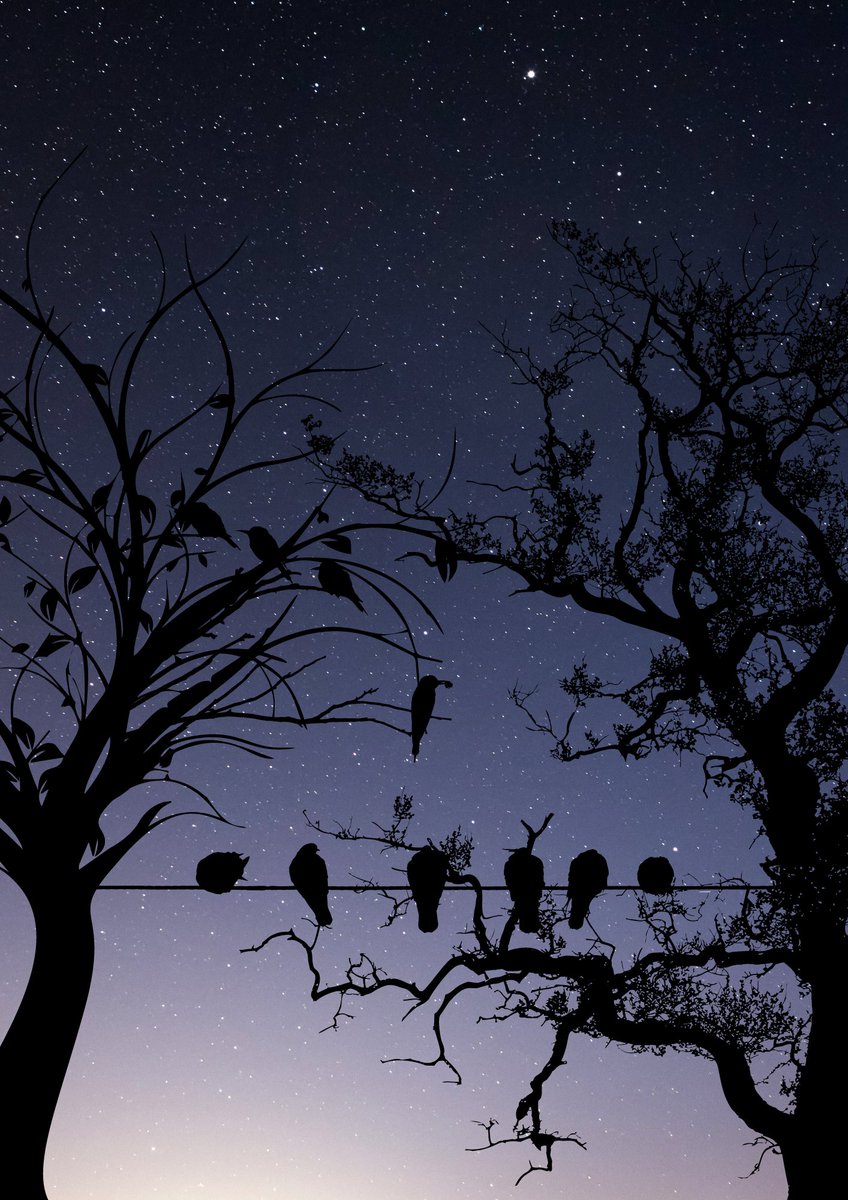 Noelsetmefree's tweet photo. Birds On Wire- Evening
https://t.co/qm3gl2DFhY
Sing me your melody tell me your story. Little cute birds please touch my eyes so that I can see.
#NFTCommunity #NFTdrop #nftsolana 
#NFTs #SolSeaNFT #design #Art_Trails_NFTs 
#nftart #cryptoart #nftcollector #NFTartist https://t.co/WYS2f5IXtd