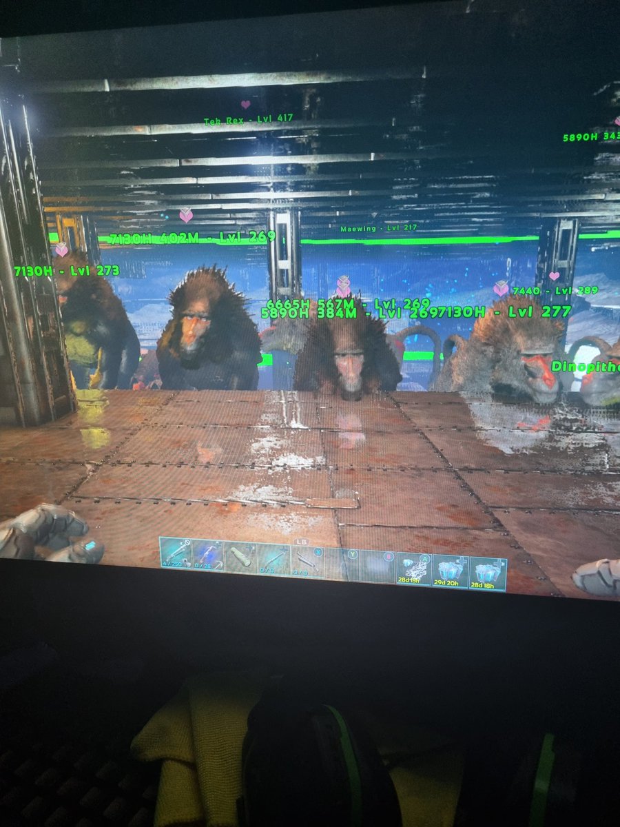 ChiefRayman's tweet photo. @ScarIetwitchxx @_Stepback_Jay My monkey breeders 😈 https://t.co/H3QQpv5mxw