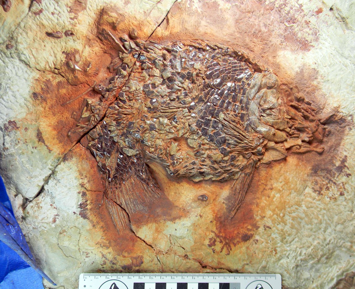 Andrew Milner tweet media