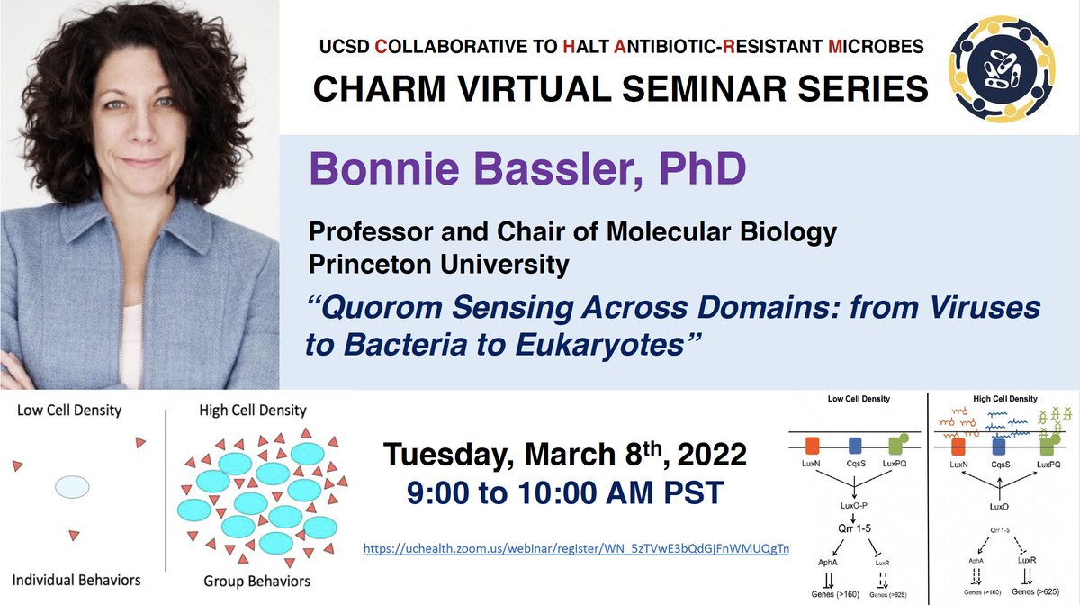 victornizet's tweet photo. Excited to co-host Bonnie Bassler of @Princeton, pioneering scientist in quorum sensing—the process of cell-cell communication in bacteria— in our @CHARM_UCSD Virtual Seminar Series this Tuesday at 9:00 AM Pacific—free to all!
Don't miss—please retweet🔄 
https://t.co/V4g2Lsulhv https://t.co/GLAUSgD7MW