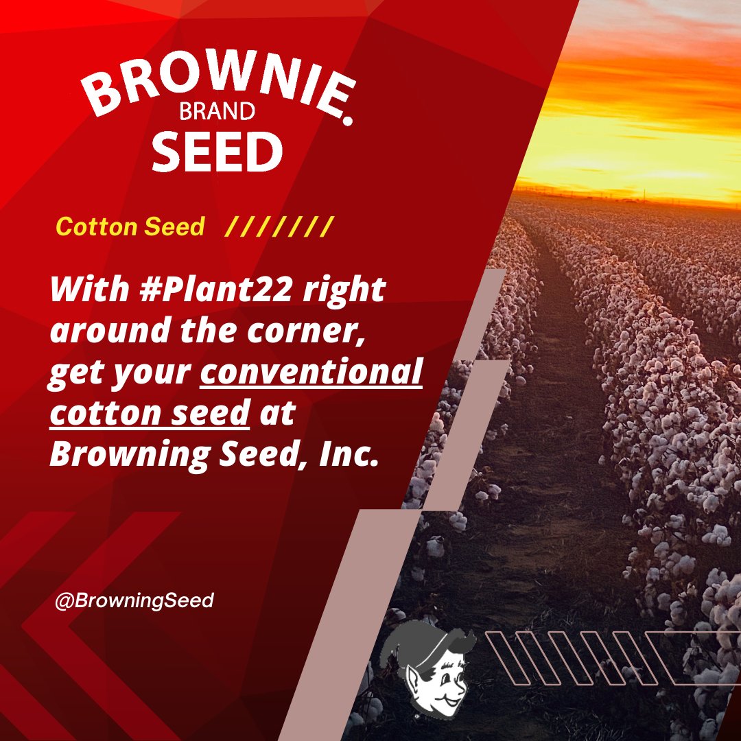 BrowningSeed's tweet photo. We are proud to offer conventional cotton seed for the #Plant22 season! Call us at (806) 293-5271 to book your conventional cotton seed or for more details! #Conventional #Cotton #CottonSeed #organic #Cotton22 https://t.co/0ZulVtEyrI