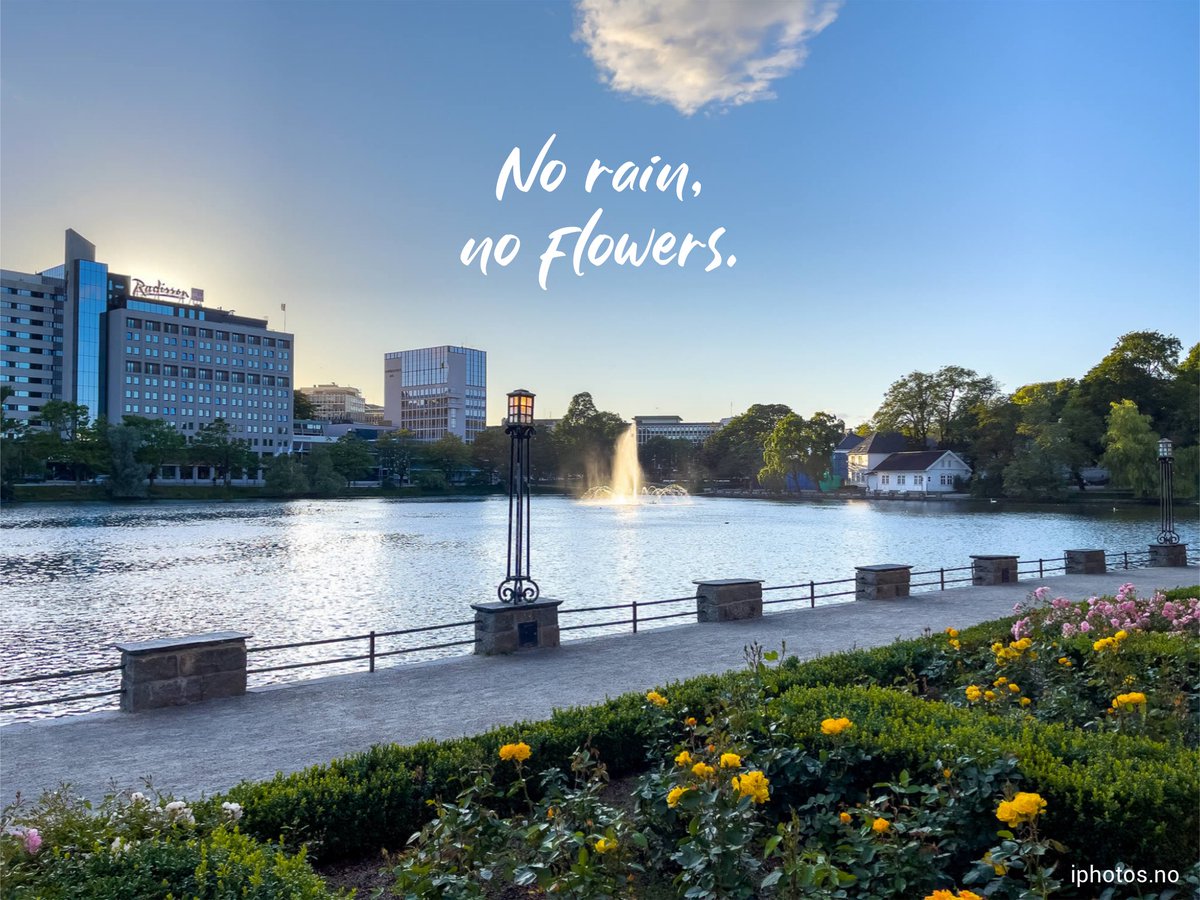 MathildeJoy's tweet image. No rain, no flowers 🌸🌸 #quote #quotes #inspiration #motivation #stavanger #norway