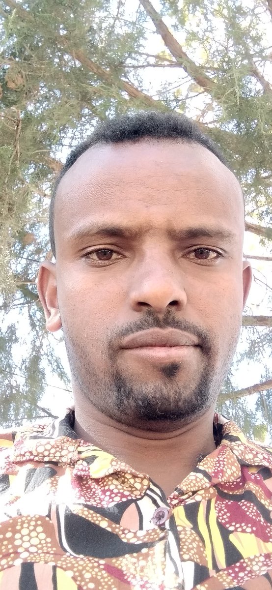 Moke Best tweet media