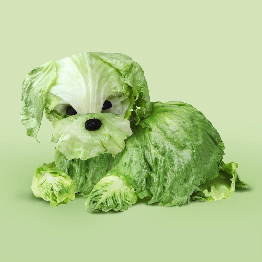 M1K3997's tweet photo. ⚠️ Lost dog 🐶 If anyone sees him please #lettuceknow 🙏 https://t.co/5IIglSQW3t