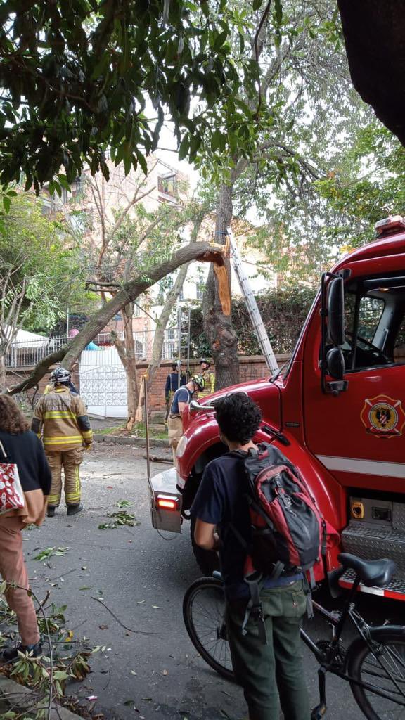 ClaudiaLopez's tweet photo. Lamento el susto y el deterioro del árbol. @BomberosBogota y @JBotanicoBogota mitigaron el riesgo, hicieron mantenimiento al árbol que seguirá en observación para evitar accidentes.

Gracias por reportar. El sistema de gobierno abierto de @Bogota @GAB_Bogota monitorea y responde. https://t.co/vO831U4iKG