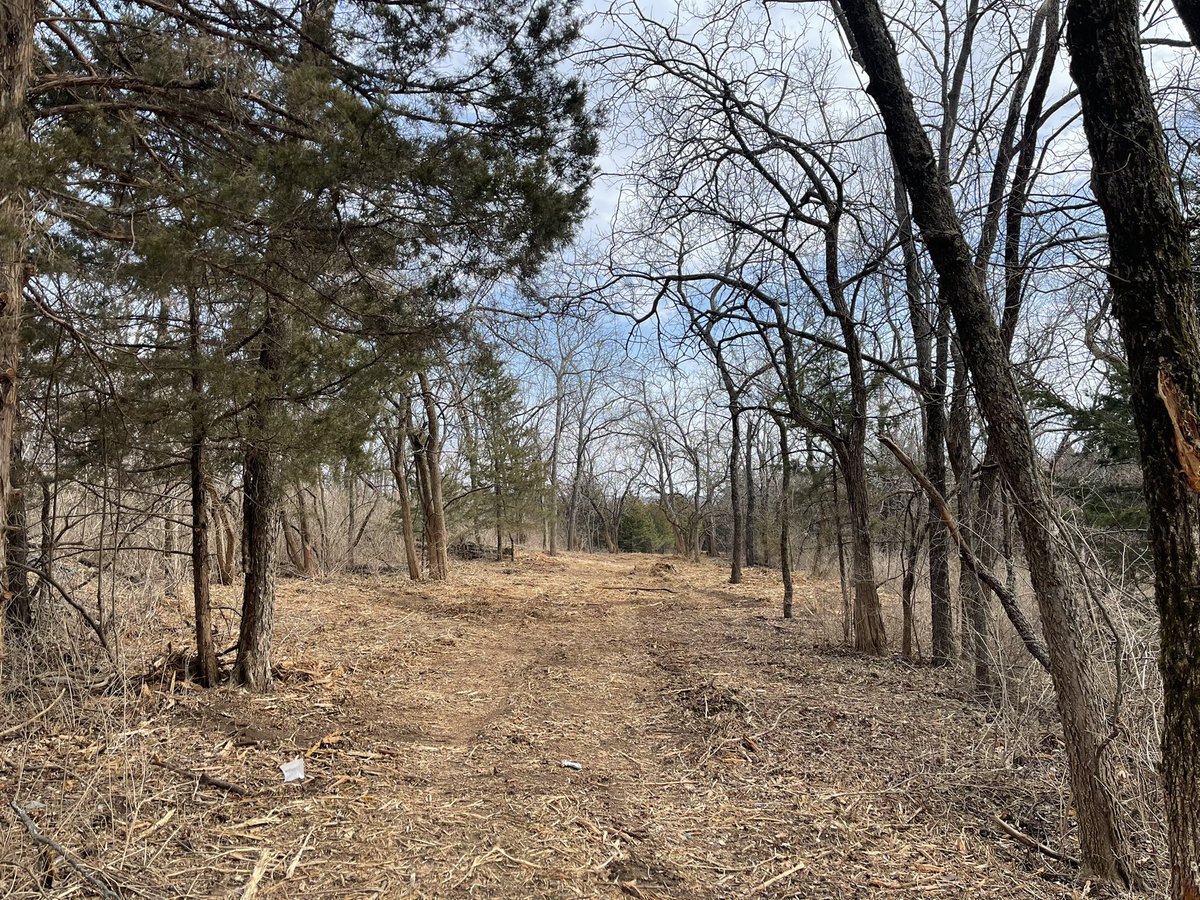 EricMcCabe11674's tweet photo. 10,000’ championship course all in the woods, yes please! Location and opening announced soon!
#discgolf #bedynamic #mccabedesign #emacdesign #dynamicdiscs https://t.co/Z3mO5AI4TX