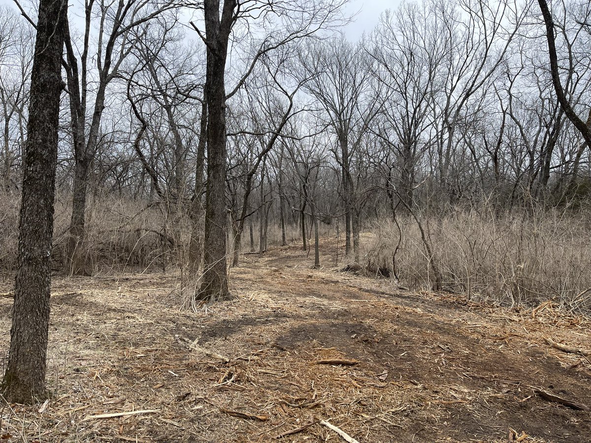 EricMcCabe11674's tweet photo. 10,000’ championship course all in the woods, yes please! Location and opening announced soon!
#discgolf #bedynamic #mccabedesign #emacdesign #dynamicdiscs https://t.co/Z3mO5AI4TX