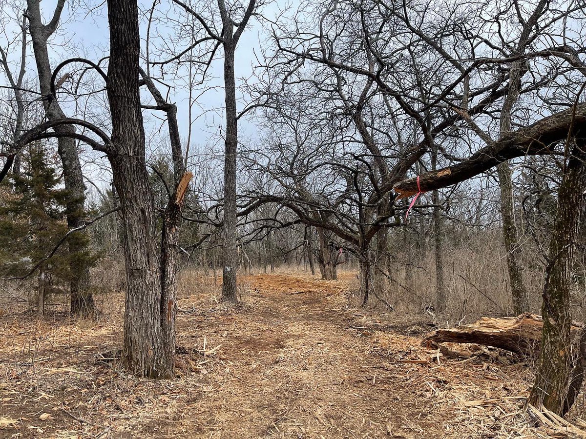 EricMcCabe11674's tweet photo. 10,000’ championship course all in the woods, yes please! Location and opening announced soon!
#discgolf #bedynamic #mccabedesign #emacdesign #dynamicdiscs https://t.co/Z3mO5AI4TX