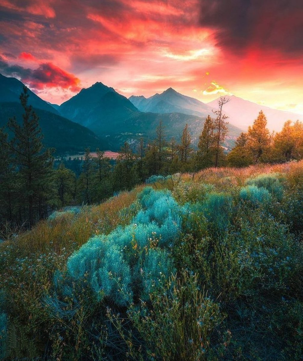 payelsarkarart's tweet image. According2 history of #WorldCivilization our ancestors,Patriots brought us freedom 4r our self-respect,wellbeing,rights.We all hv #emotions love respect gratitude 4r that endless🙏we r all privileged 2live freely in our countries.We must live peacefully,friendly.Plz b in #harmony