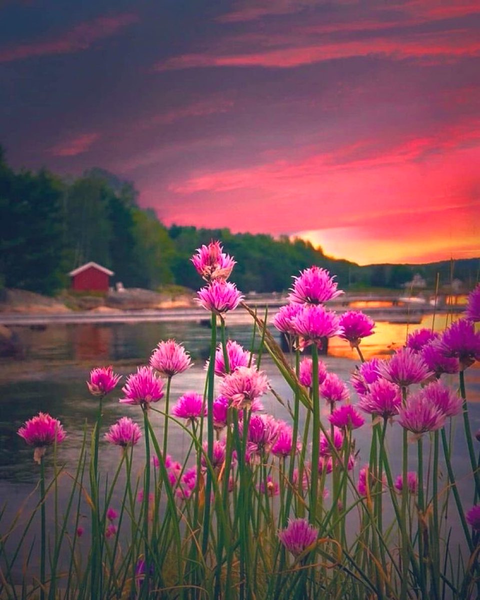 payelsarkarart's tweet image. According2 history of #WorldCivilization our ancestors,Patriots brought us freedom 4r our self-respect,wellbeing,rights.We all hv #emotions love respect gratitude 4r that endless🙏we r all privileged 2live freely in our countries.We must live peacefully,friendly.Plz b in #harmony