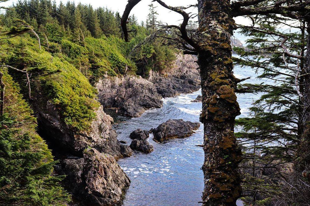 Caption this photography... 

#Ucluelet #Photography #StaySafe #WestCoast #Vancouverisland 
📷 by happy.barnacle.photography
