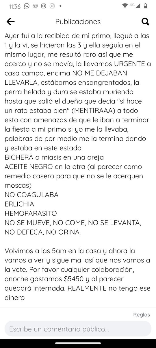 Belca tweet media