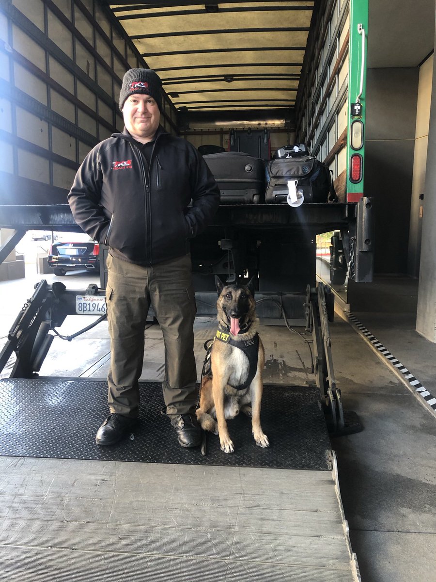 GoteamK9's tweet photo. Early morning sweeps 
We keep teams from all of the major sports safe during there travels 
#NBA #MLB #NFL #NASCAR #NCAA #NHL #odordetection #K9 #PrivateJet #aviation #detectiondogs #passengersaftey #workingdog #teamk9 https://t.co/bK5LW2p6Ev