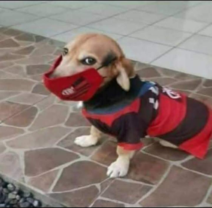 studyatt's tweet image. alguém de coração bondoso pra fazer um texto pra mim sobre a importância do ócio na construção do conhecimento?