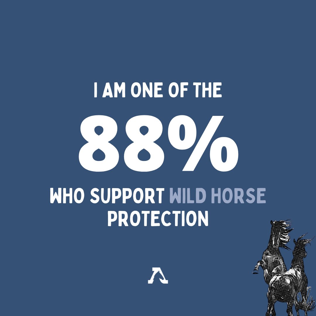 FreeWildHorses's tweet photo. Retweet if you are one of the 88% of voters who want to see #wildhorses protected! https://t.co/py0xMEBfGE https://t.co/hcM6zKZZZW