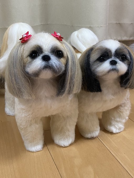 Twoucan シーズー の注目ツイート イラスト マンガ コスプレ モデル