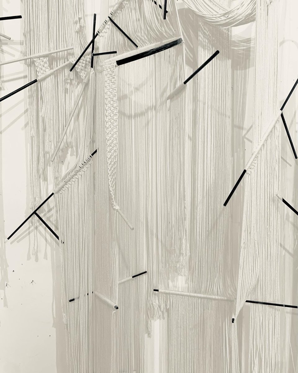 Exploring images of migrating metastructures-figure and field #linesculpture #finearttextiles #wallhanging #deleuze #roomdivider #goldenratio #fibonacci