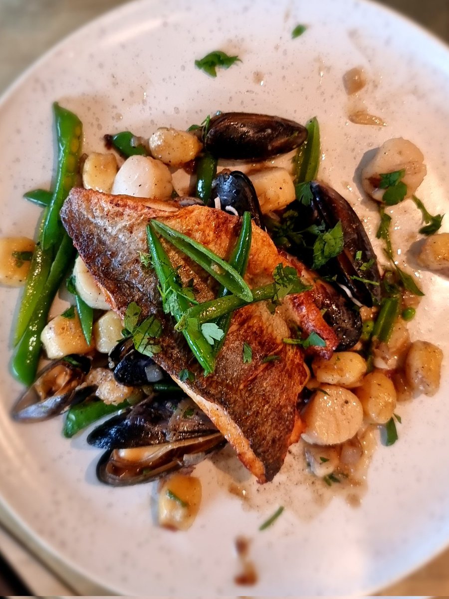 AdamFrosh's tweet photo. Sea bream and mussels #foodporn #fishgasm #fishdish #plating #dinnerparty #seabream https://t.co/4ZQtkyyaz4