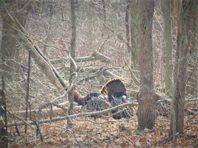 Doe & Arrow Hunting tweet media