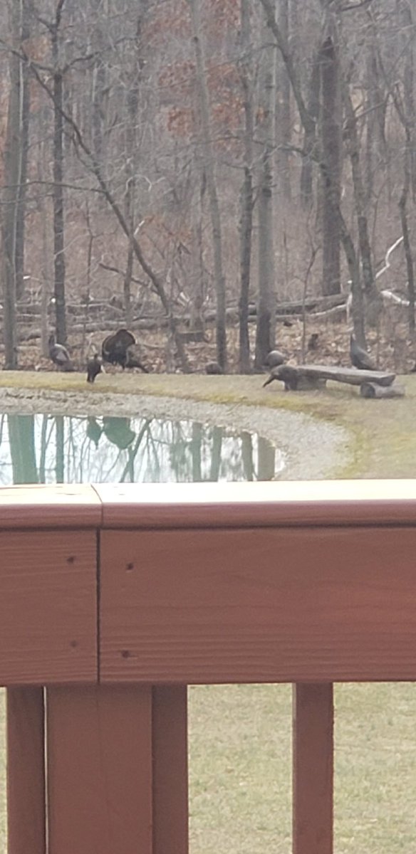 Doe & Arrow Hunting tweet media