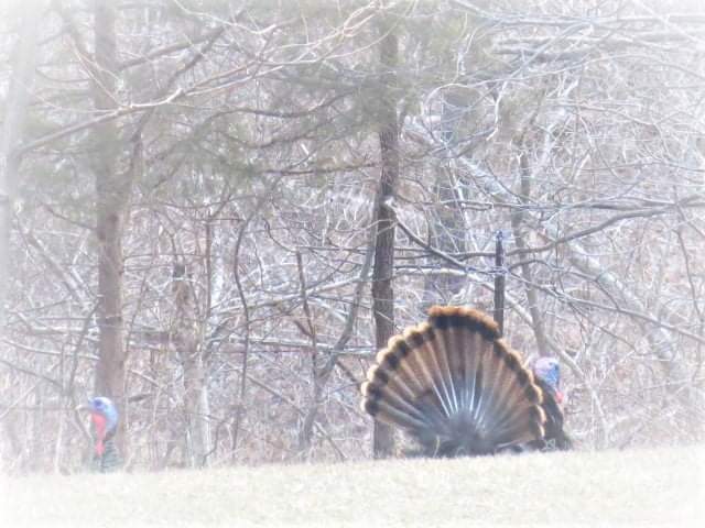 Doe & Arrow Hunting tweet media