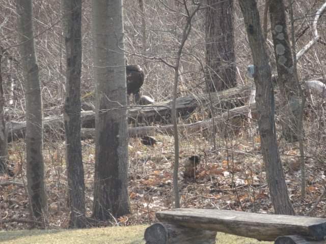 Doe & Arrow Hunting tweet media