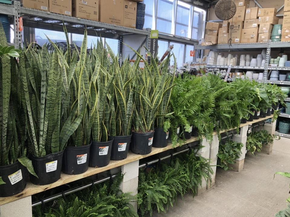 Christian__May's tweet photo. The San Antonio team is locked in &amp; ready for Spring! https://t.co/5QAxMa2Pmx